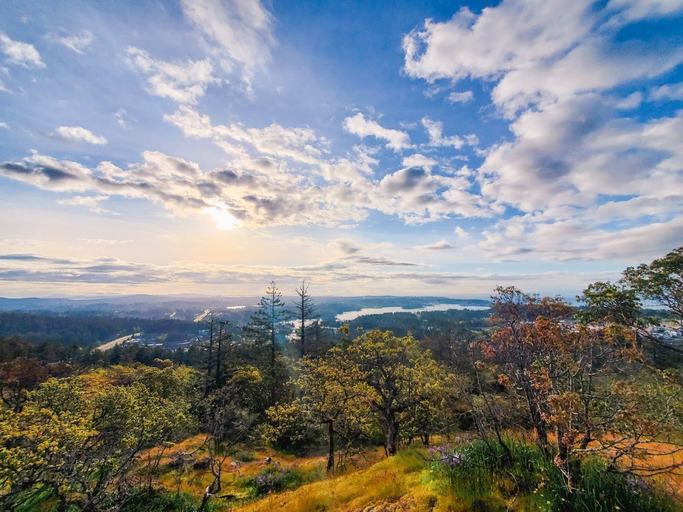 Mill Hill Regional Park